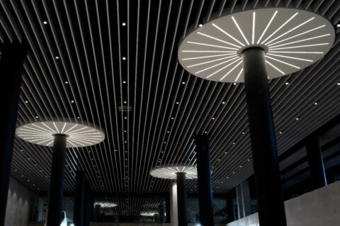 Tolmachevo Airport 2